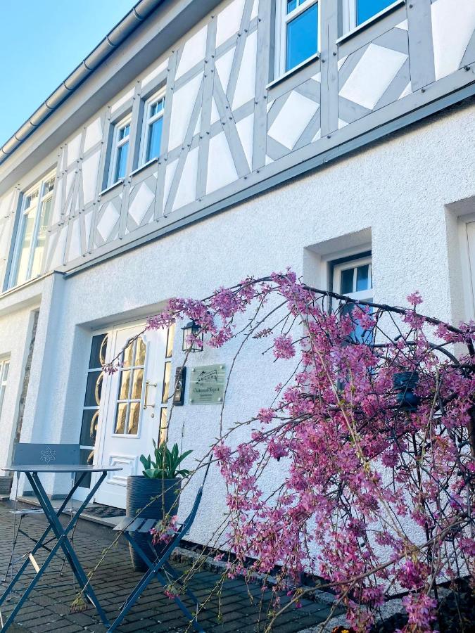 Apartments Im Chateau D'Esprit Hohr-Grenzhausen Bagian luar foto