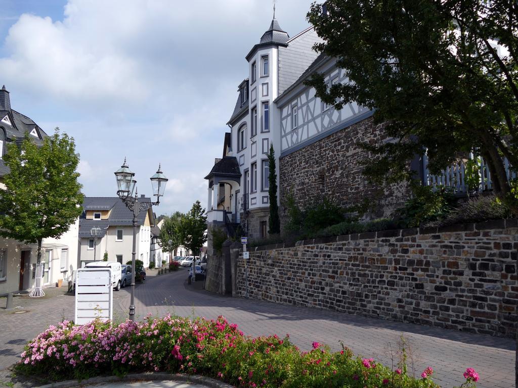 Apartments Im Chateau D'Esprit Hohr-Grenzhausen Bagian luar foto